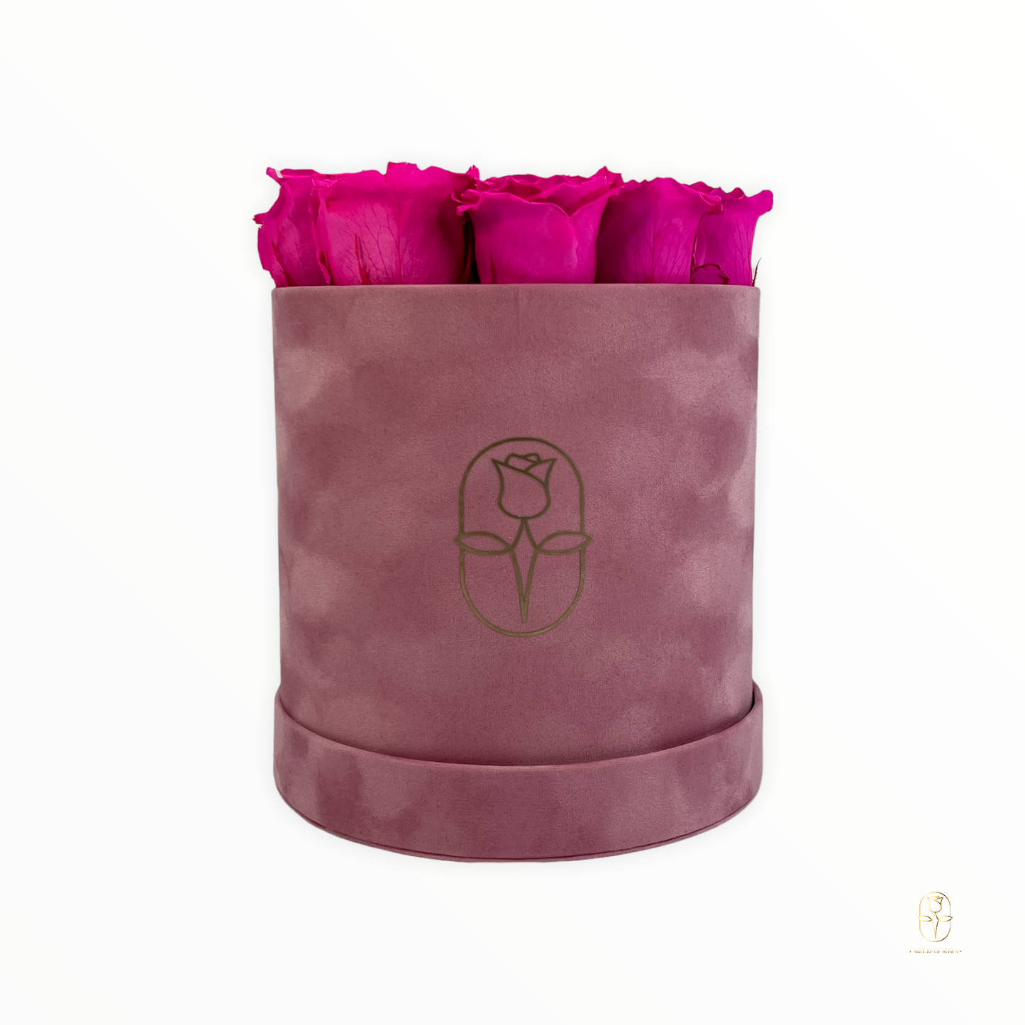 Velvet Round Eternal Rose Box Collection | Small