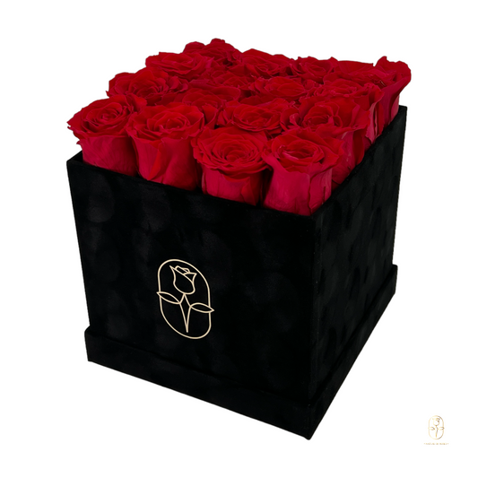 Velvet Square Rose Box Collection | 16