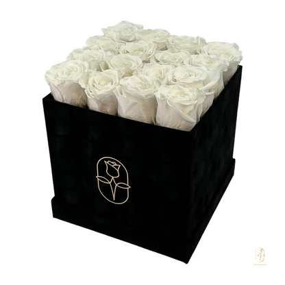 Velvet Square Rose Box Collection | 16