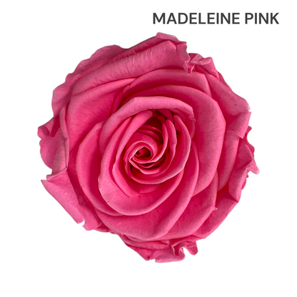 Velvet Round Rose Box Collection | Large