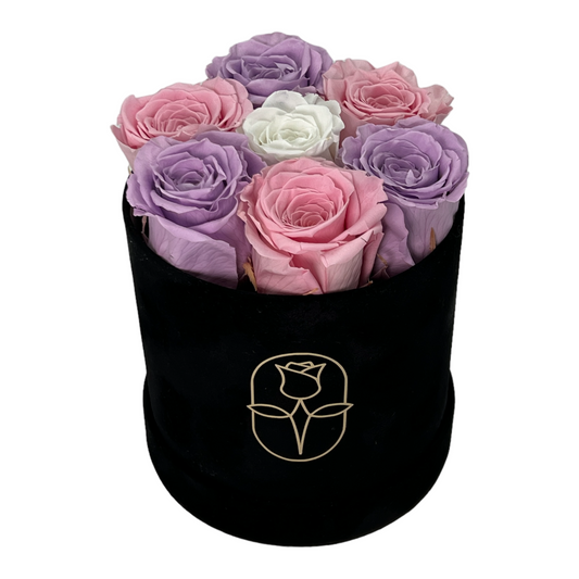 Terra Rose Box Collection | Small