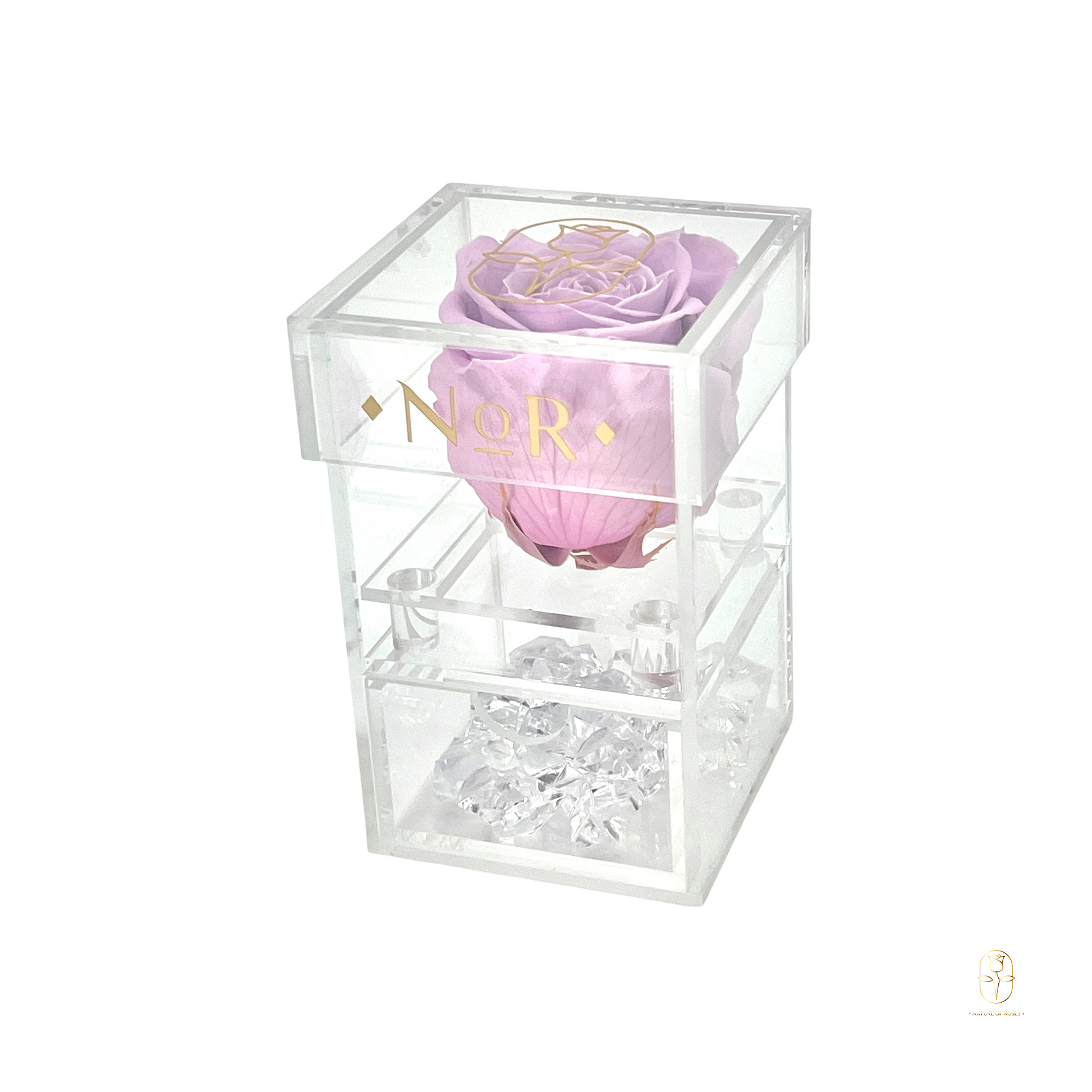 Toronto Preserved Roses Acrylic Collection | Single Rose