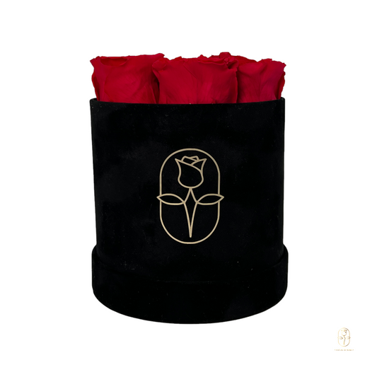 Velvet Round Rose Box Collection | Small