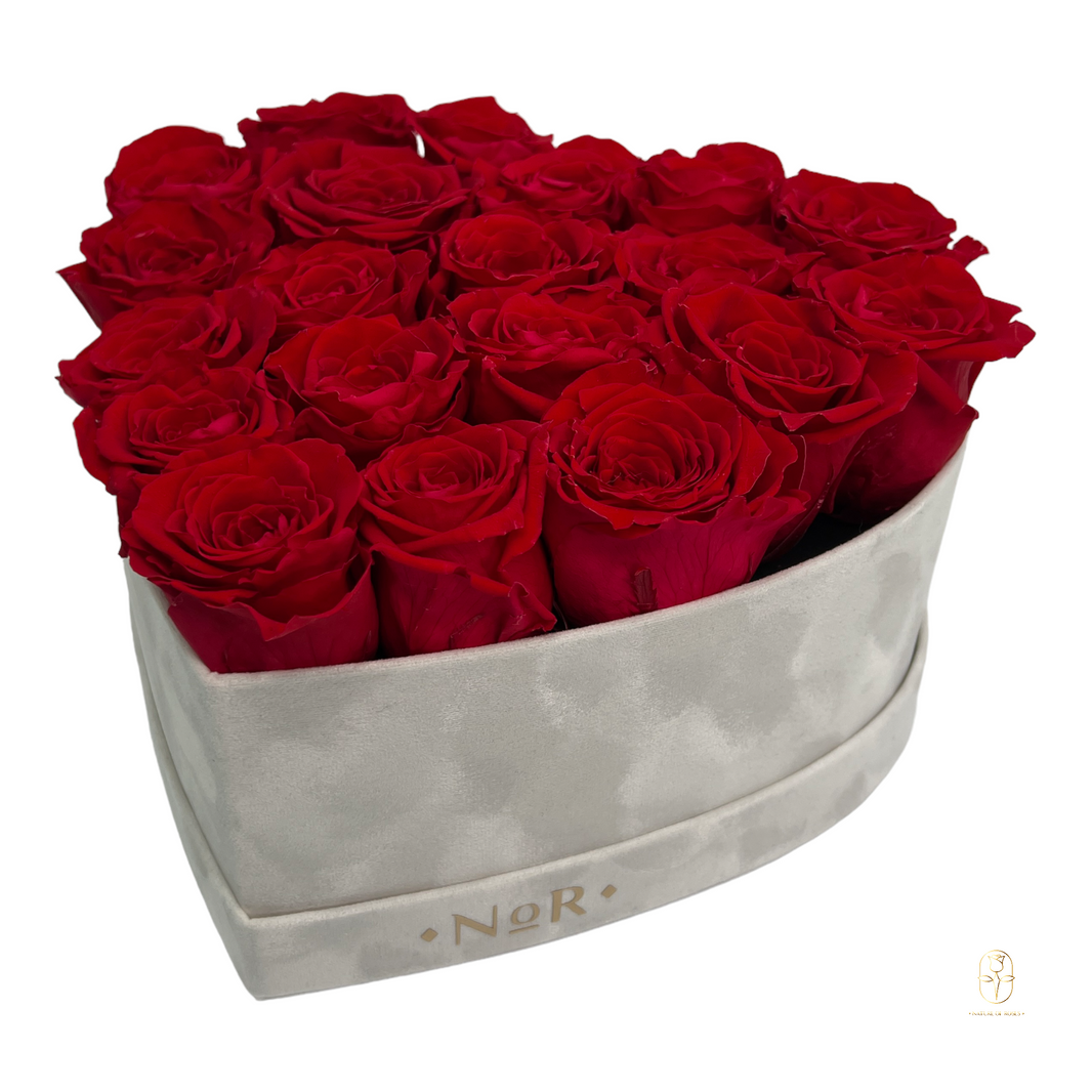 Eternal Roses & Box Arrangements | Nature Of Roses Toronto