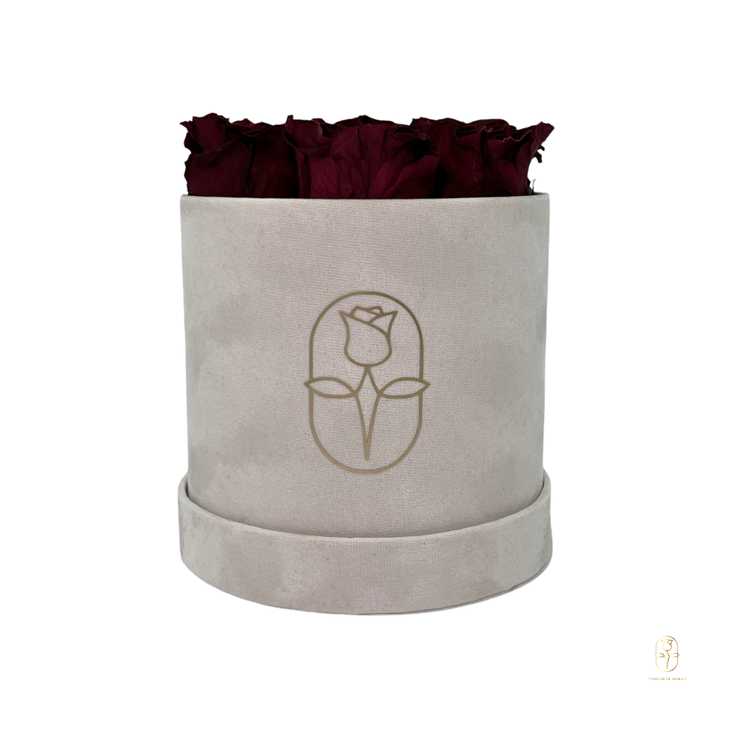 Velvet Round Rose Box Collection | Medium